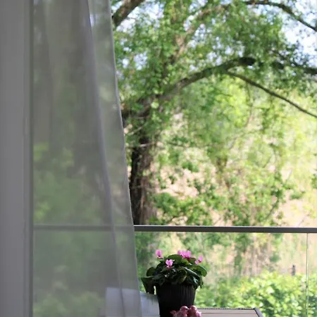 Easy Πανσιόν 3*