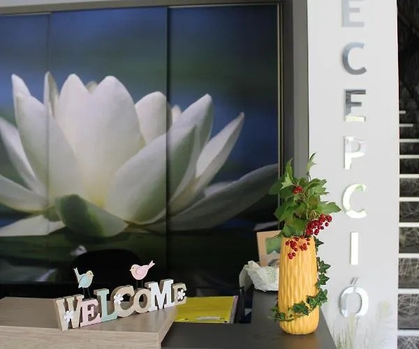 בית הארחה Easy