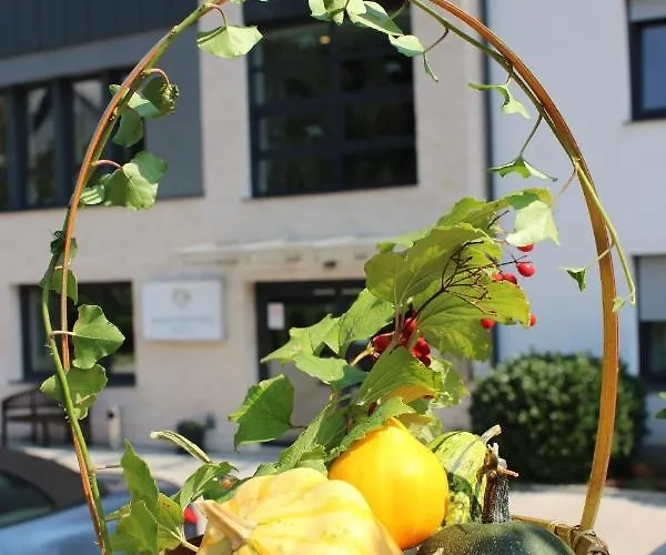 ゲストハウス Easy ヘーヴィーズ